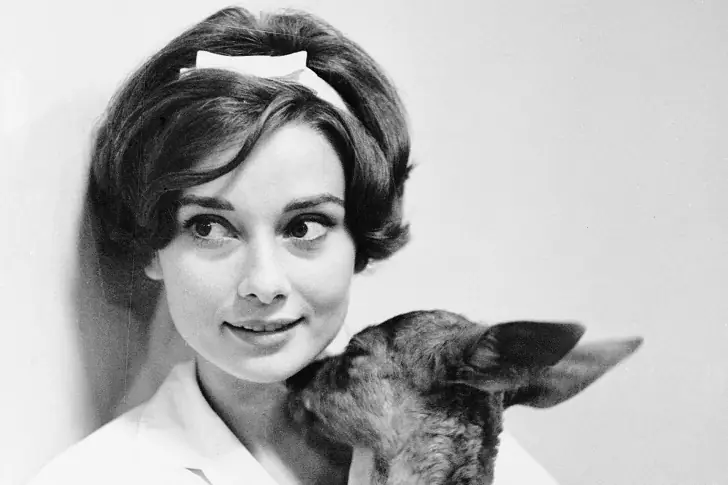 Iconic items that defined Audrey Hepburn's style.